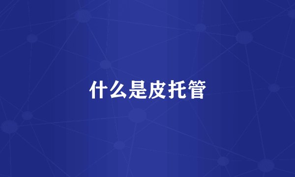 什么是皮托管