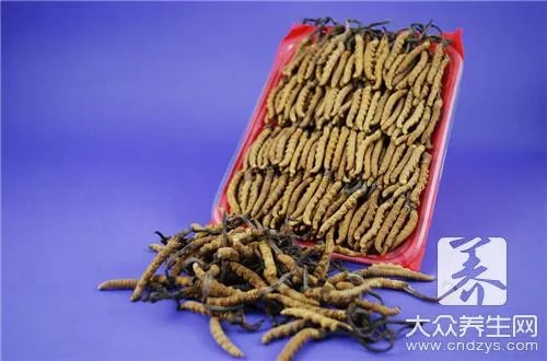 那曲和玉树的虫草区别是什么?