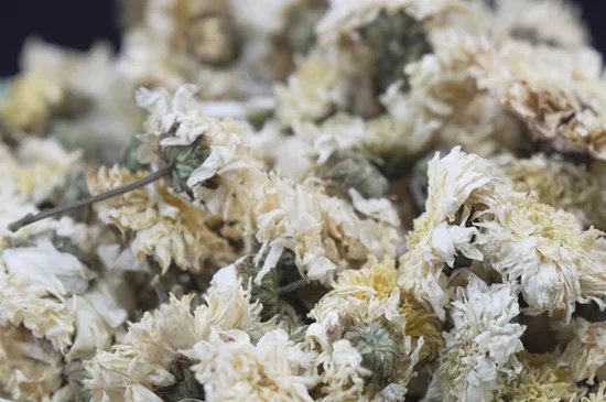 菊花茶的种类