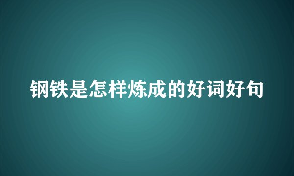 钢铁是怎样炼成的好词好句