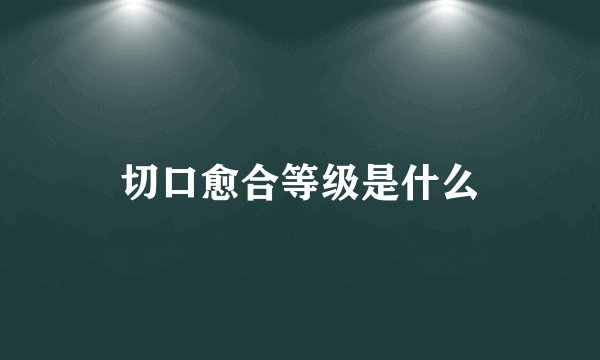 切口愈合等级是什么