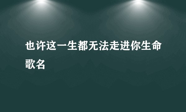 也许这一生都无法走进你生命歌名