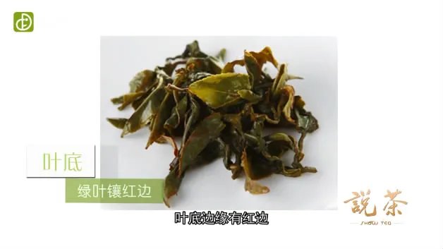什么是冻顶乌龙