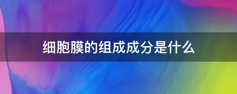 细胞膜的组成成分是什么