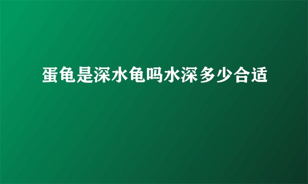 蛋龟是深水龟吗水深多少合适