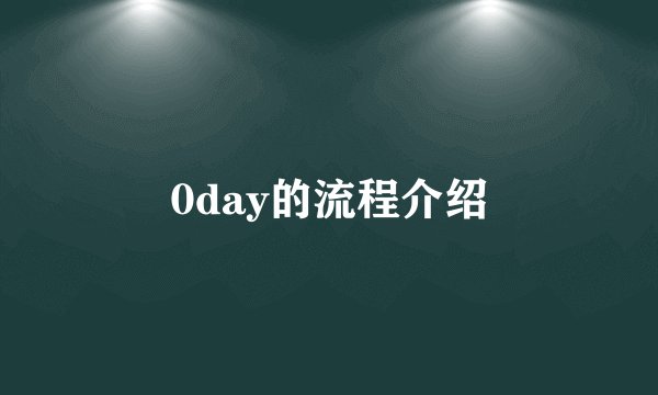 0day的流程介绍