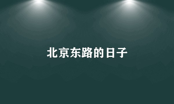 北京东路的日子