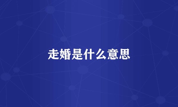 走婚是什么意思