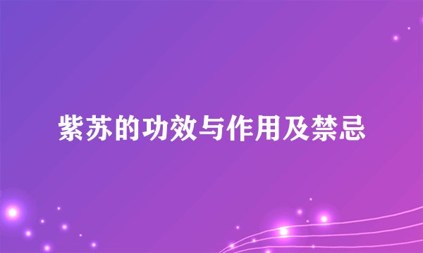 紫苏的功效与作用及禁忌