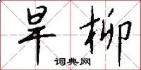 旱柳