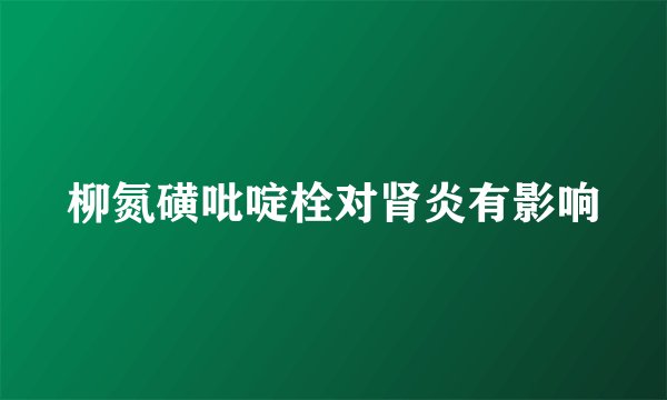 柳氮磺吡啶栓对肾炎有影响