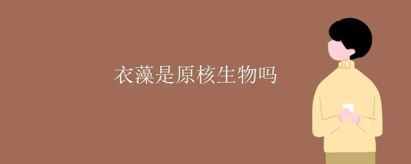 衣藻是原核生物吗