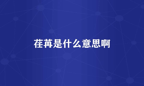 荏苒是什么意思啊