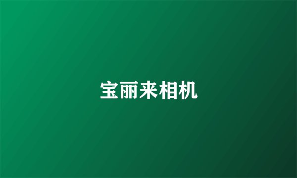 宝丽来相机