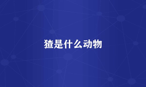 猹是什么动物