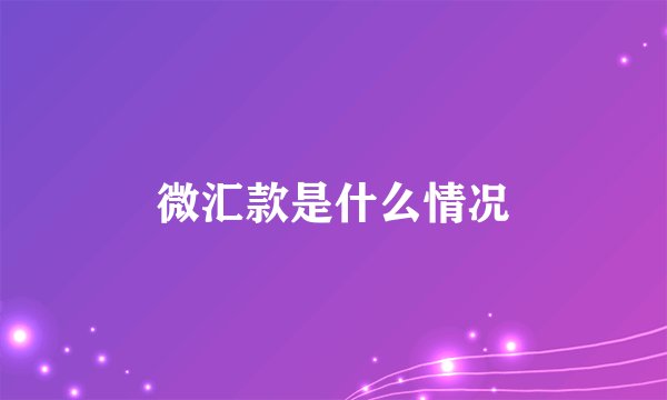 微汇款是什么情况