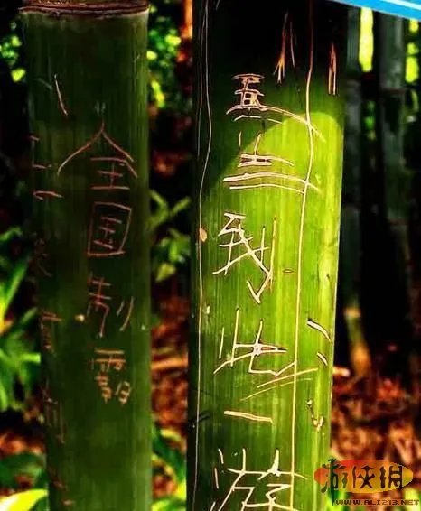 埃及神庙刻字者引公愤 盘点中国式“到此一游”
