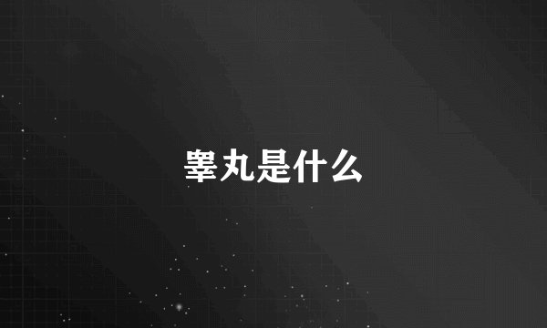 睾丸是什么