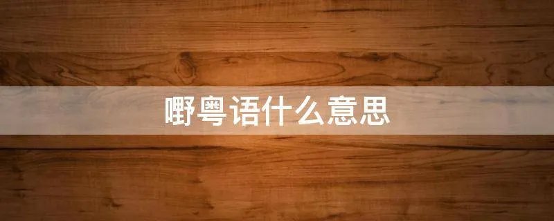 嘢粤语什么意思