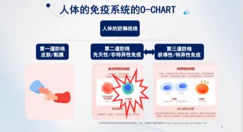 保加利亚乳杆菌OLL1073R-1:特殊时期助力健康,不惧生活挑战