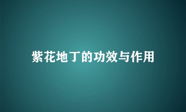 紫花地丁的功效与作用
