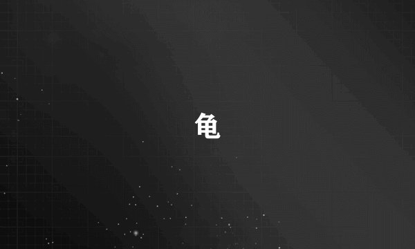 龟
