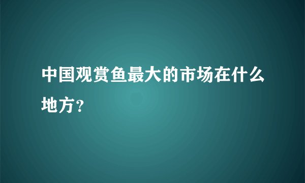 中国观赏鱼最大的市场在什么地方？
