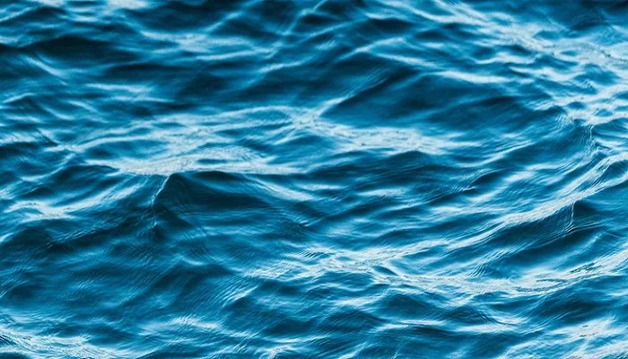 水污染的危害