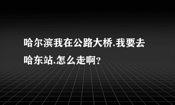 哈尔滨我在公路大桥.我要去哈东站.怎么走啊？