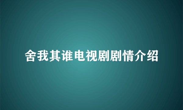 舍我其谁电视剧剧情介绍