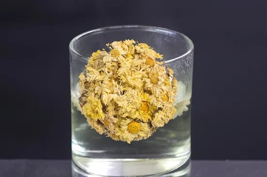 菊花茶的种类
