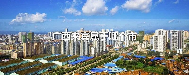 广西来宾属于哪个市