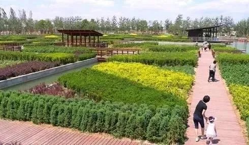 仙桃怎么样