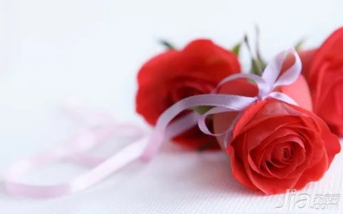 玫瑰花语大全 玫瑰花代表什么