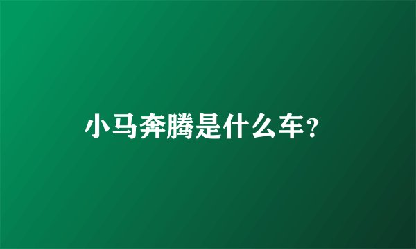 小马奔腾是什么车？