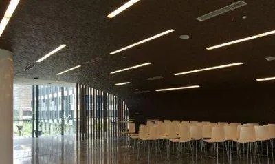上海纽约大学,怎样?