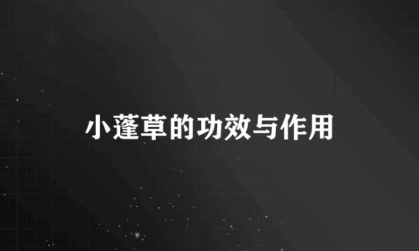 小蓬草的功效与作用