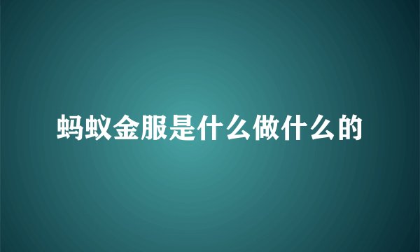 蚂蚁金服是什么做什么的