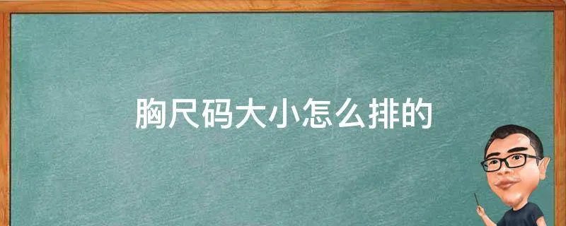 胸尺码大小怎么排的