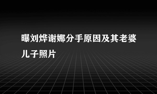 曝刘烨谢娜分手原因及其老婆儿子照片