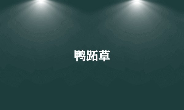 鸭跖草