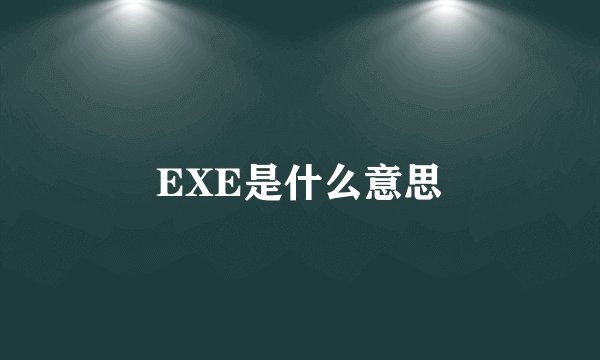 EXE是什么意思