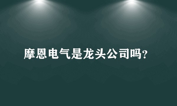 摩恩电气是龙头公司吗？