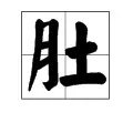 肚组词有哪些?