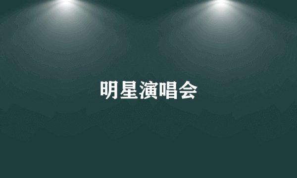 明星演唱会