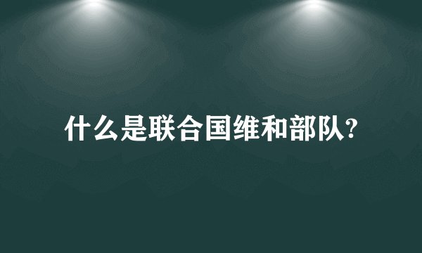什么是联合国维和部队?
