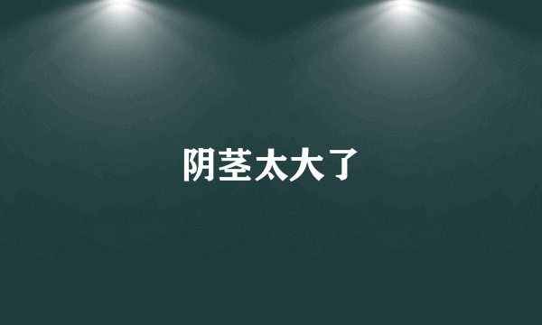 阴茎太大了