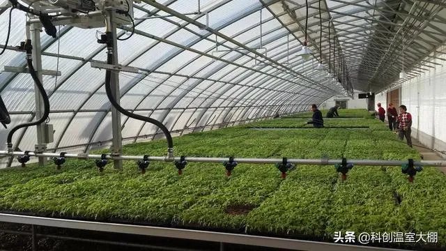 什么是设施农业?