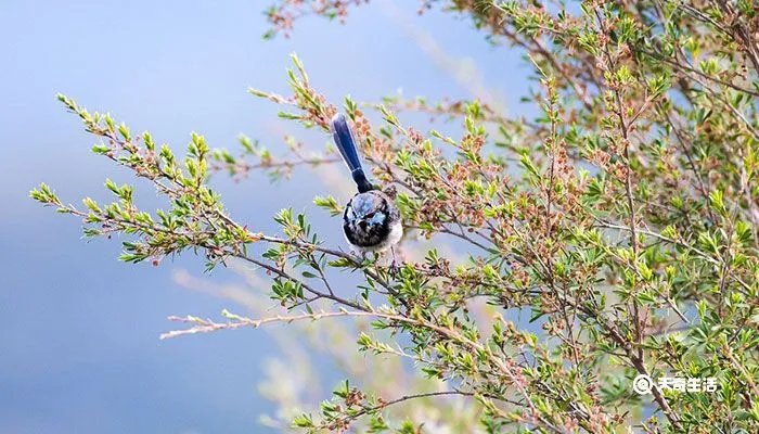 7月7日是什么节日