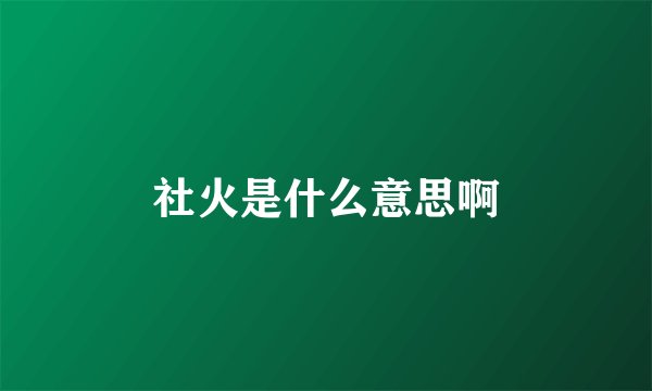 社火是什么意思啊